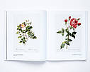 Великі художники П'єр-Жозеф Редуте. Redoute the bible of rose мистецтво живопис книги для художників, фото 9