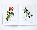 Великі художники П'єр-Жозеф Редуте. Redoute the bible of rose мистецтво живопис книги для художників, фото 10