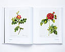 Великі художники П'єр-Жозеф Редуте. Redoute the bible of rose мистецтво живопис книги для художників, фото 8