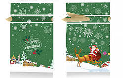 Пакет подарунковий зелений Новорічний з малюнком Дід Мороз в лісі зі стрічкою затяжкою поліетиленовий 23х15см