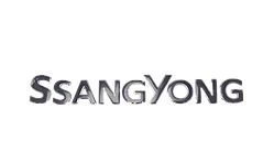 Емблема напис багажника Ssangyong чорна