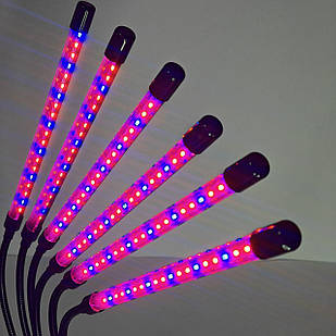 Настільна фітолампа для рослин на прищіпці на 6 гілок USB LED-фітолампа для квітів, фітосвітильник