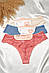 Набір трусів жіночих 3 штуки 188763S, фото 2