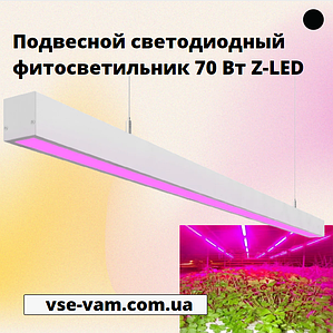 Фітосвітильники для рослин