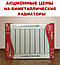 Біметалічні радіатори Alltermo Super Bimetal 500/100, фото 4