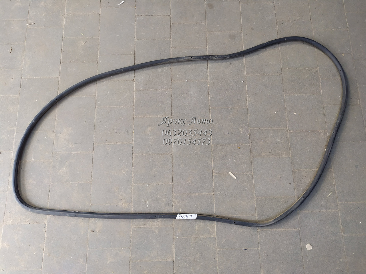 Гумка девері задньої правої для автомобіля VW Passat B6 2005-2010 000056447, фото 1