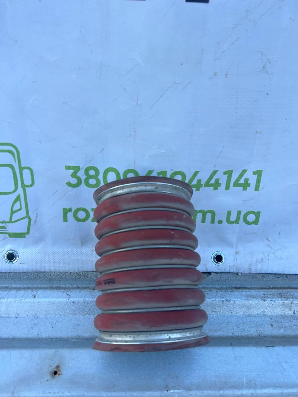 Патрубок інтеркулера (резиновий) б/в DAF XF 105 (1600366) оригінал