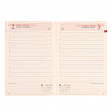 Щоденник А6 Leo Planner датований 2025 Jalino 352 стор (252603), фото 8