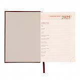 Щоденник А5 Leo Planner датований 2025 Persona бордовий 368 стор (252528), фото 3