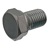 Болт зливу оливи BMW 3 (E20 E36 E39 E46) 5 (E60) 7 (E23 E32 E65) 8 (E31) -10 (Febi 06564)