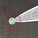 Верхні форми Global Fashion 12 видів по 24 шт (288 шт) з розміткою WS-002, фото 4