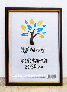 Фоторамка А4 21х30 см коричнева із золотим обрамленням багет 1511-В84