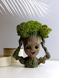 Кашпо з стабілізованим мохом