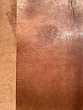 Натуральна шкіра Чепрак для взуття, ременів, сумок, меблів, підошви, кінських упряжок товщиною 3,0-3,5 мм. Світло-коричнева, фото 3
