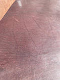 Натуральна шкіра Чепрак для взуття, ременів, сумок, меблів, підошви, кінських упряжок товщиною 2,2-2,7 мм. Темно-коричнева, фото 2