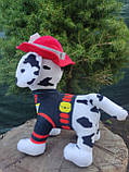 М'яка іграшка Щенячий патруль МАРШАЛ Копиця 25 см PAW Patrol, фото 7