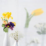 Плівка віконна 600*10000мм (D) SW-00002158, фото 6