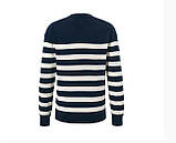 Якісний зручний чоловічий бавовняний светр, кофта в полоску від tcm tchibo (Чібо), Німеччина, L-XL, фото 2