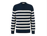 Якісний зручний чоловічий бавовняний светр, кофта в полоску від tcm tchibo (Чібо), Німеччина, L-XL, фото 3