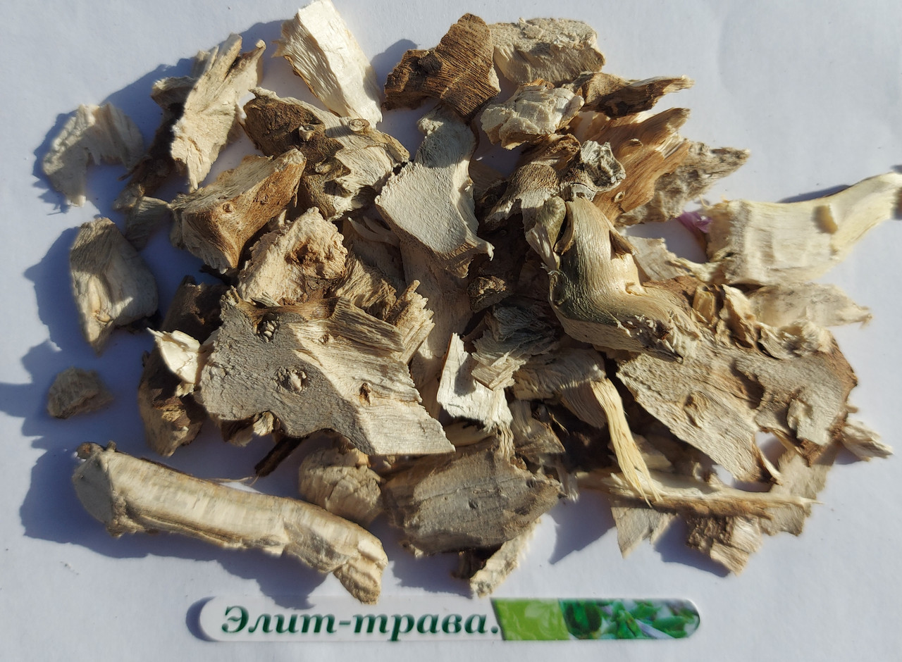 Корінь соняшника 100 грам, фото 1