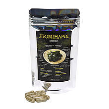Ламінарія