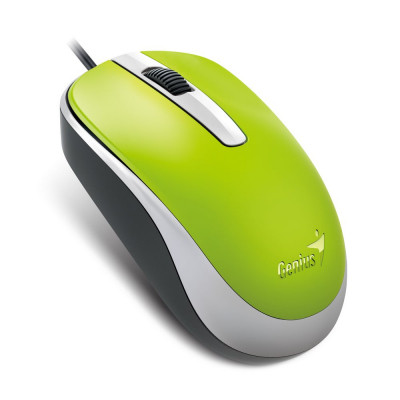 Мишка Genius DX-120 USB Green (31010105105), фото 1