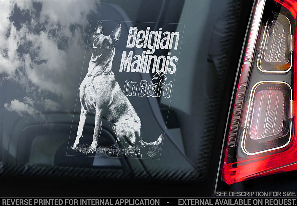 Бельгійський Малинуа (Бельгійська вівчарка) (Belgian Malinois) стикер, фото 1