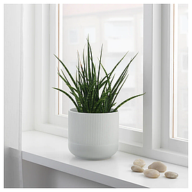 Ваза GRADVIS  IKEA 404.140.79