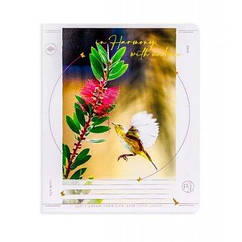 Зошит 12арк лінія В гармонії з природою Поділля (25/500)