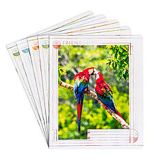 Зошит 12арк лінія З другом веселіше Поділля (25/500)