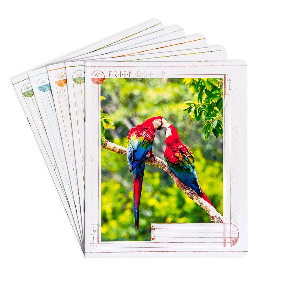 Зошит 12арк лінія З другом веселіше Поділля (25/500), фото 1