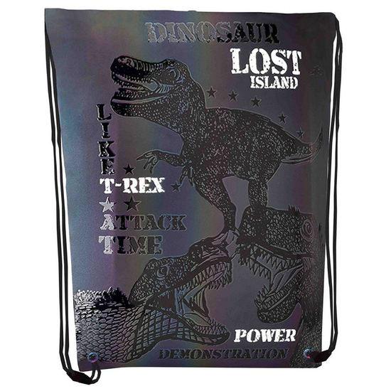 Сумка для взуття CLASS 2239С T-rex power 46*33см, 210D PL