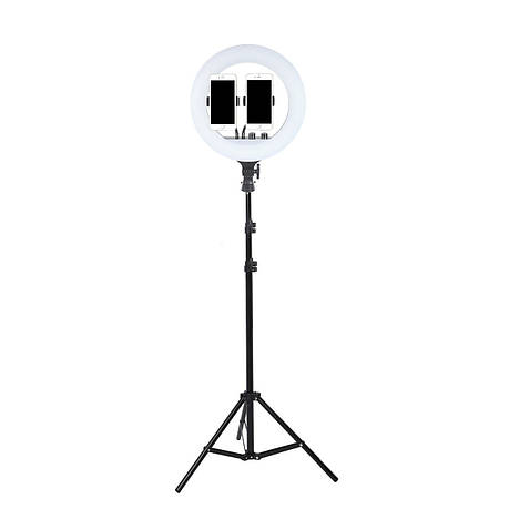 Кільцева лампа 36 см LED RL-14 зі штативом 210 см AC Prof, фото 1