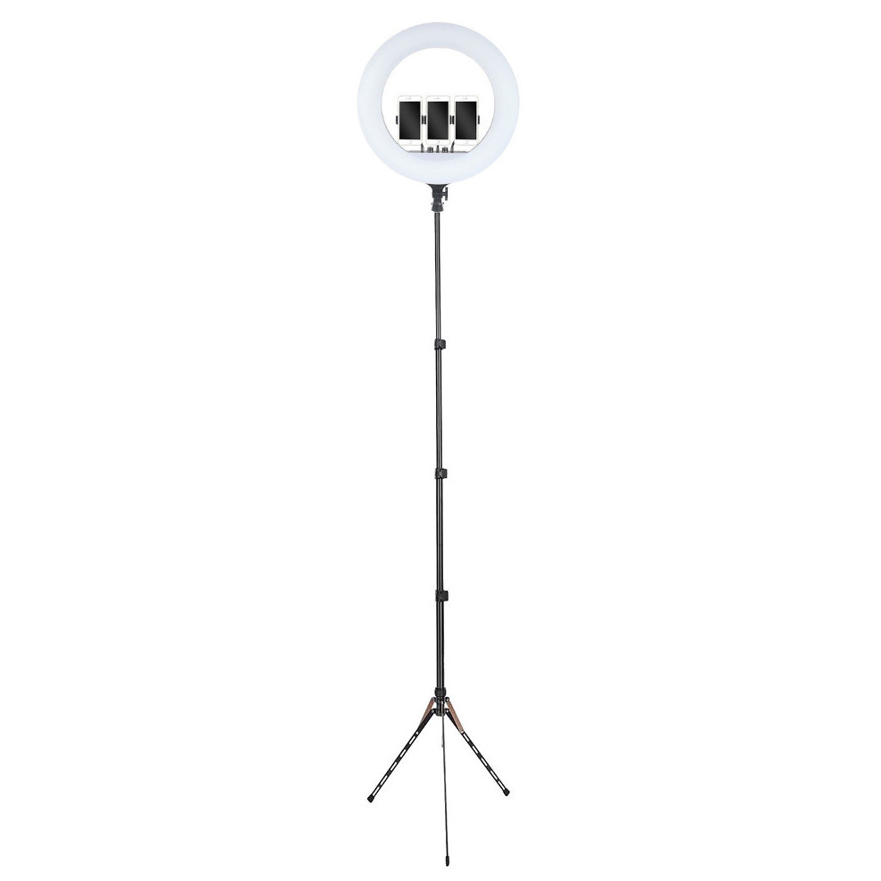 Кільцева лампа 54 см LED RL-21 зі штативом 191 см AC Prof