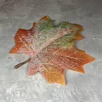 Кленовий лист із хвостиком, 9*11 см, колір-блідо-зелений-червоний, арт 017045, 1 шт, Різнокольоровий