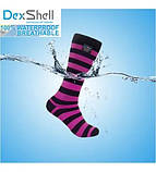 Шкарпетки водонепроникні Dexshell Longlite Pink S, фото 3