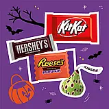 Подарункова коробка з цукерками Hershey's Milk Chocolate Assorted Trick or Treat на Хеллоуїн 120 шт. 1.15 кг, фото 4