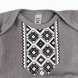 Боді-сукня для дівчаток з довгим рукавом Graphite, фото 3