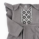 Боді-сукня для дівчаток з довгим рукавом Graphite, фото 4