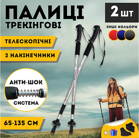 Палиці для фінської норвезької спортивної ходьби, Норвезькі гірські палиці для треку Hechpro 3924 сірі