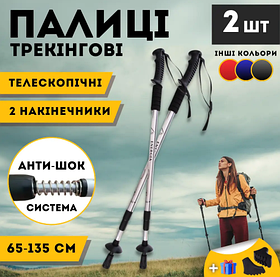 Палки для скандинавської спортивної ходьби похилого віку, Трекінгові палиці для альпінізму Hechpro 3924 сірі