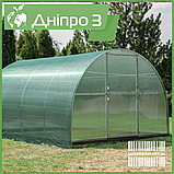 Теплиця "Дніпро-5" 5х6 м / профільна труба 30Х30 мм / стільниковий полікарбонат PREMIUM 10 мм, фото 10