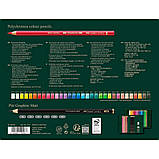Набір олівців Polychromos, 32 кольори + 6 чорнографітних, Faber-Castell, 210053, фото 2