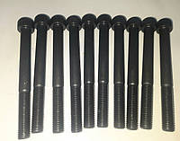 Болт головки ГБЦ Заз 1102-1105, Таврія, Славота Сенс,Ланос 1.4 Польща