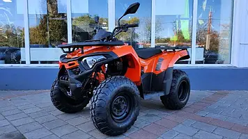 Квадроцикл Loncin LX 200 (XWOLF 200)