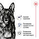 Сухий корм для собак Royal Canin Maxi Adult великих порід від 15 місяців 15 кг - фото 9 - id-p2724437881