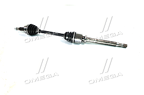 Півось міст RENAULT KANGOO II (RIDER) RD.25508650