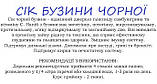 Бузина чорна (сік концентрат), 0.2 літри, фото 2