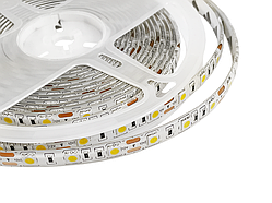 Світлодіодна стрічка 5050-60led-10mm-12V IP65 білий MTK