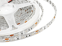 Світлодіодна стрічка 5050-60led-10mm-12V IP65 синій  MTK